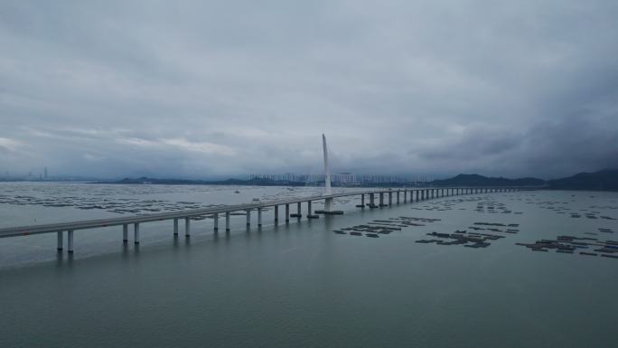 4k航拍视角深圳湾大桥