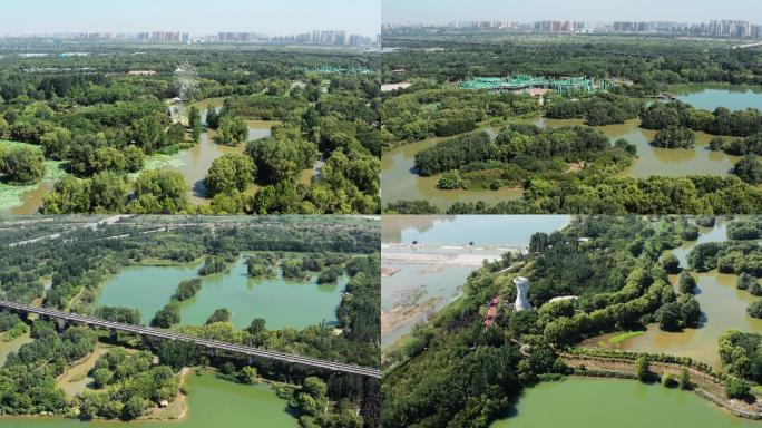 西安浐灞国家湿地公园，夏日4K航拍