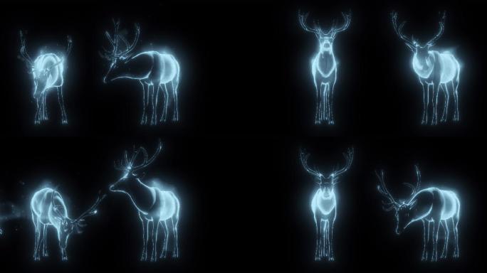 发光鹿04