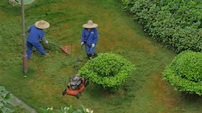 小区园丁割草机除草维护草坪