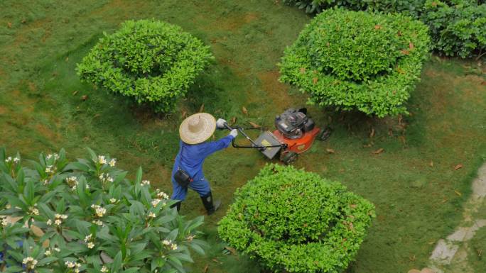 小区园丁割草机除草维护草坪