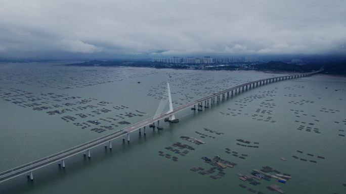 4k航拍深圳湾大桥