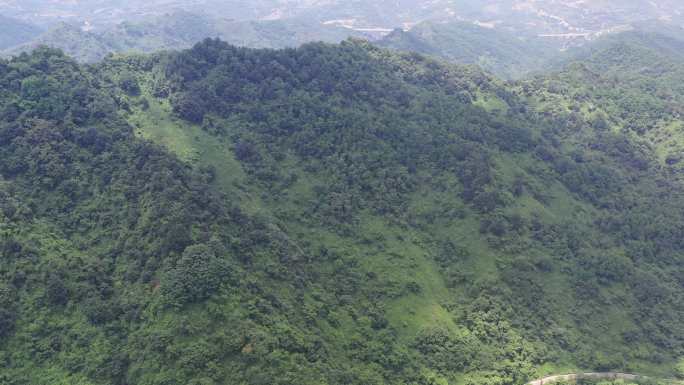 4K原素材航拍秦岭鸡峰山