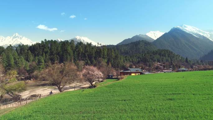 西藏波密雪山下古乡湖航拍