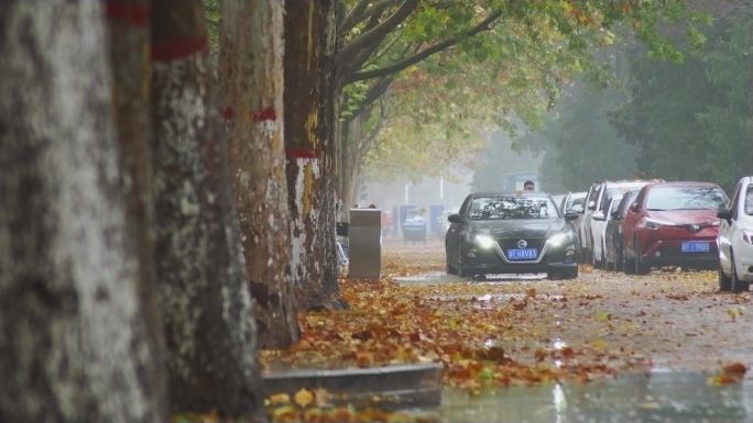 深秋路边街景