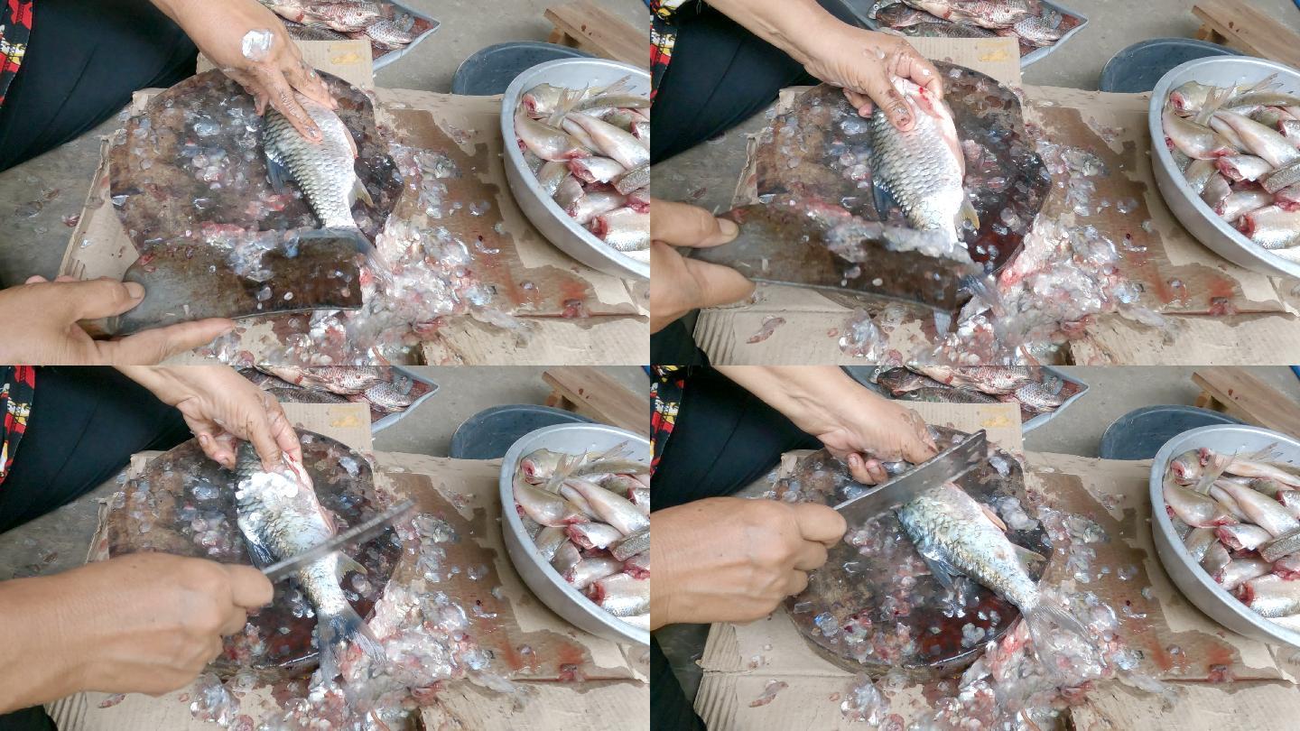 一名男子用刀切开大量淡水鱼的双手的特写照片。
