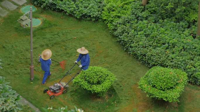 小区园丁割草机除草维护草坪