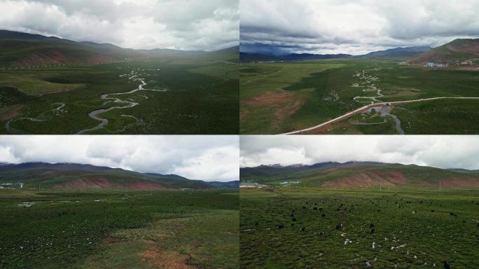 4K西藏自治区昌都市邦达草原牦牛群航拍
