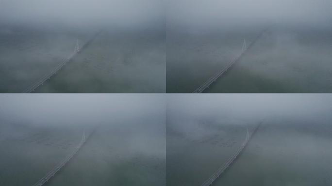空中视角航拍视角看深圳湾大桥