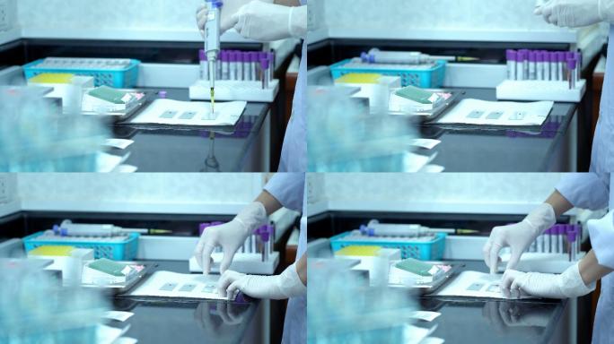 男性科学家在实验室做血液涂片试验