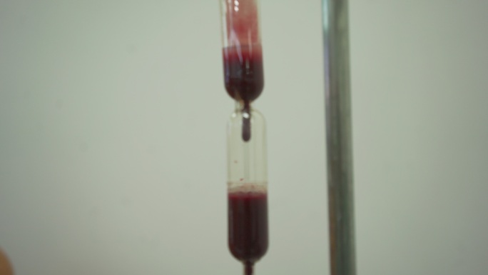 猫血疗法。输血