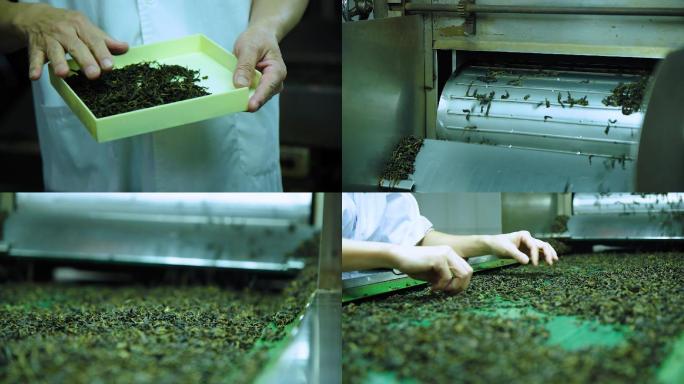 茶厂-茶叶生产加工-现代化制茶工艺