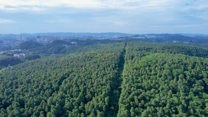 5K航拍绿色生态森林公园