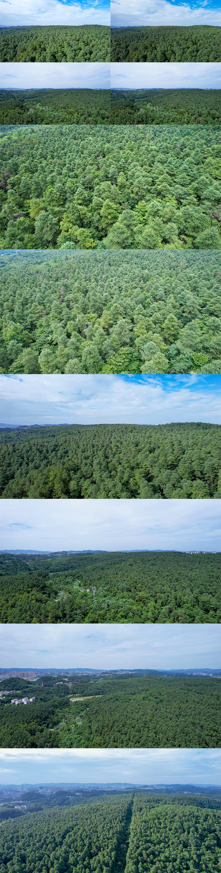 5K航拍绿色生态森林公园
