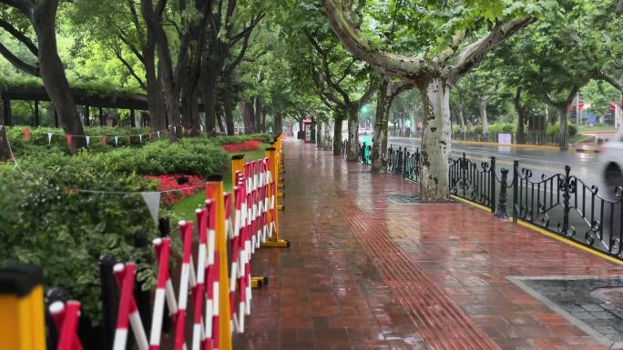 上海封城中的雨天绿化街道