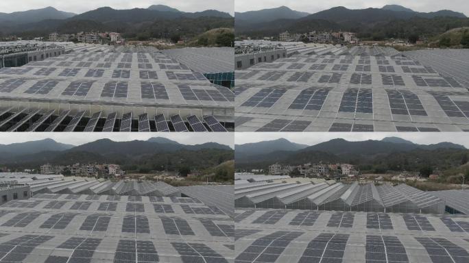 种植棚屋顶绿色技术太阳能电池板耕地