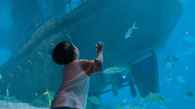 海洋公园海洋馆水族馆海世界海洋生物海底鱼