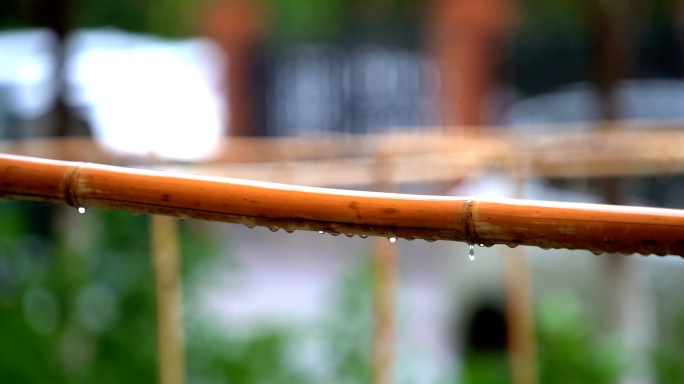 下雨天小清新