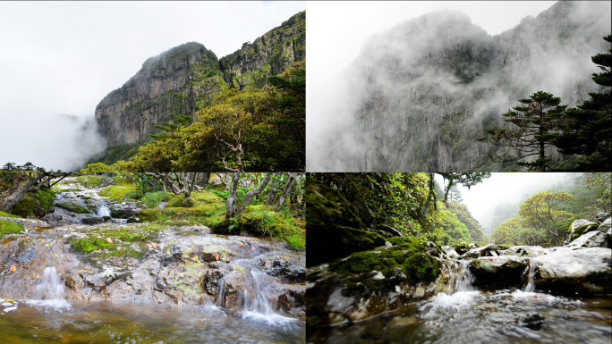 云雾缭绕山间小溪流水各种景别