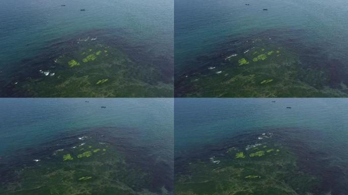 航拍大连滨海路海边风景