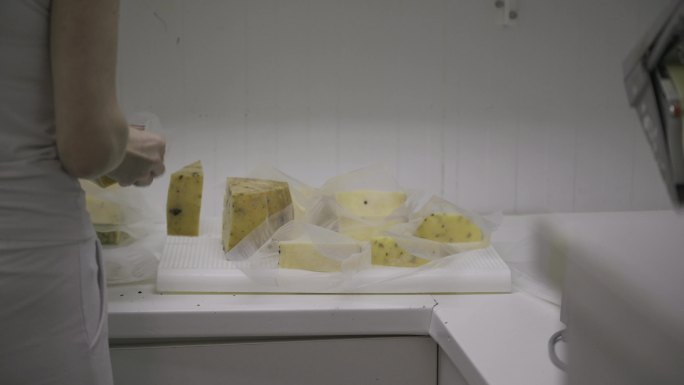 工人将奶酪放入塑料袋中，准备密封