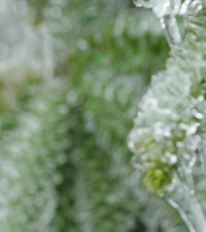 竖屏素材冰雪结冰冰柱雪花寒冷冬天