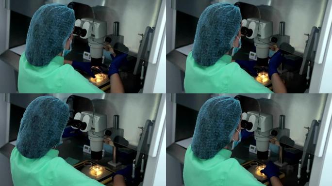 胚胎学家研究人类细胞。体外受精。