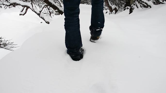 厚厚积雪下艰难前行的脚步
