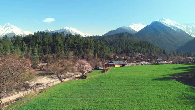 西藏波密雪山下古乡湖航拍