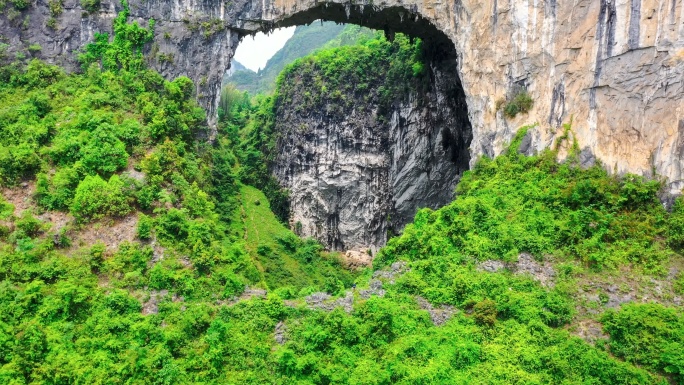 原始森林洞穴岩溶象鼻山稀疏植被