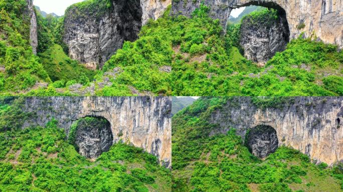 原始森林洞穴岩溶象鼻山稀疏植被