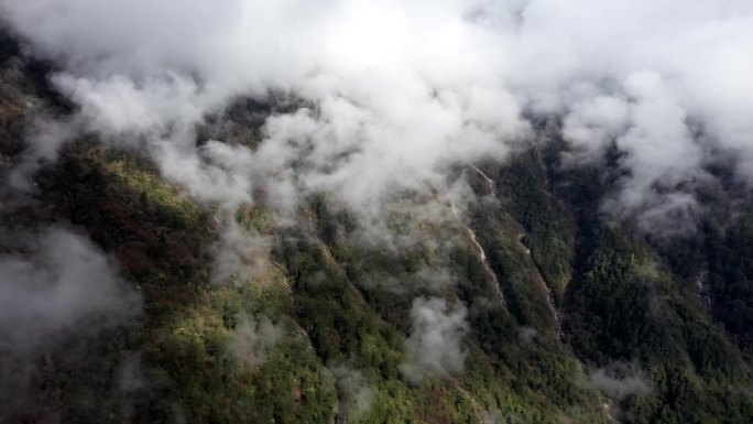 高山云雾云山雾罩