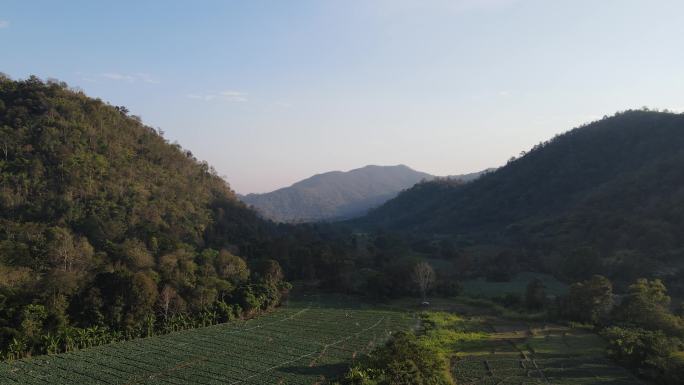 泰国清迈甘蓝田山上植被
