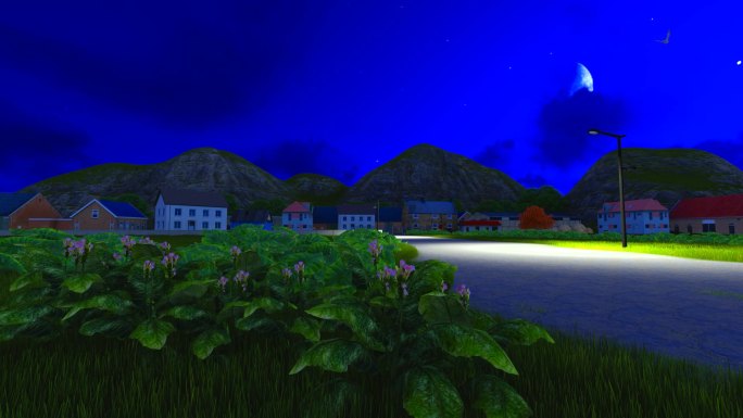 新农村背景动画-夜景