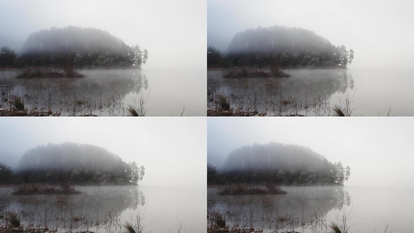 自然湖泊湿地沼泽云雾飘渺