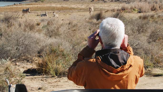 狩猎中用双筒望远镜观察斑马的老人