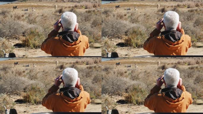 狩猎中用双筒望远镜观察斑马的老人