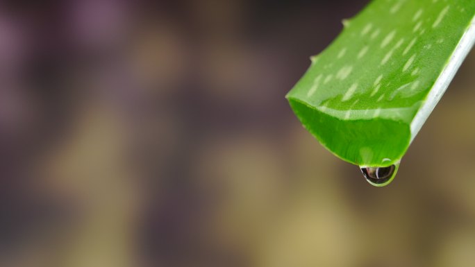 芦荟水纯度下降精华液芦荟胶