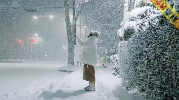 城市下雪夜景大雪纷飞暴雪雪花情绪空镜