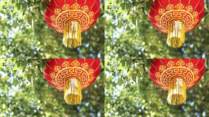 树叶下的中国红灯笼