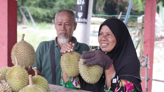 马来西亚土产榴莲东南亚旅游目的地热带果品