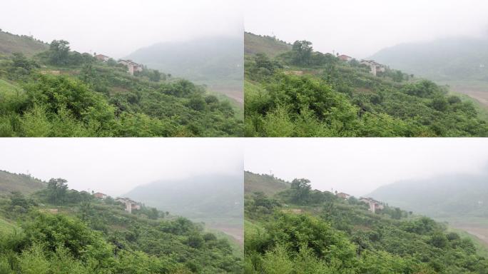 云雾缭绕的山上小房子
