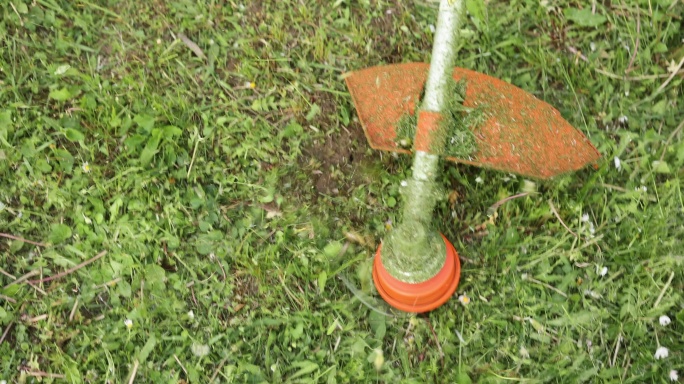 除草机在阳光明媚的春天在后院割草和野花