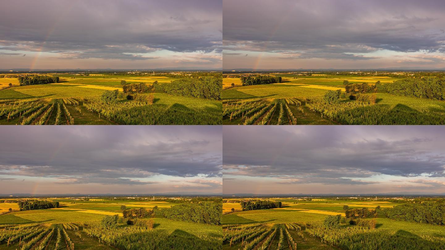 暴风雨的云景和葡萄酒种植景观上的彩虹