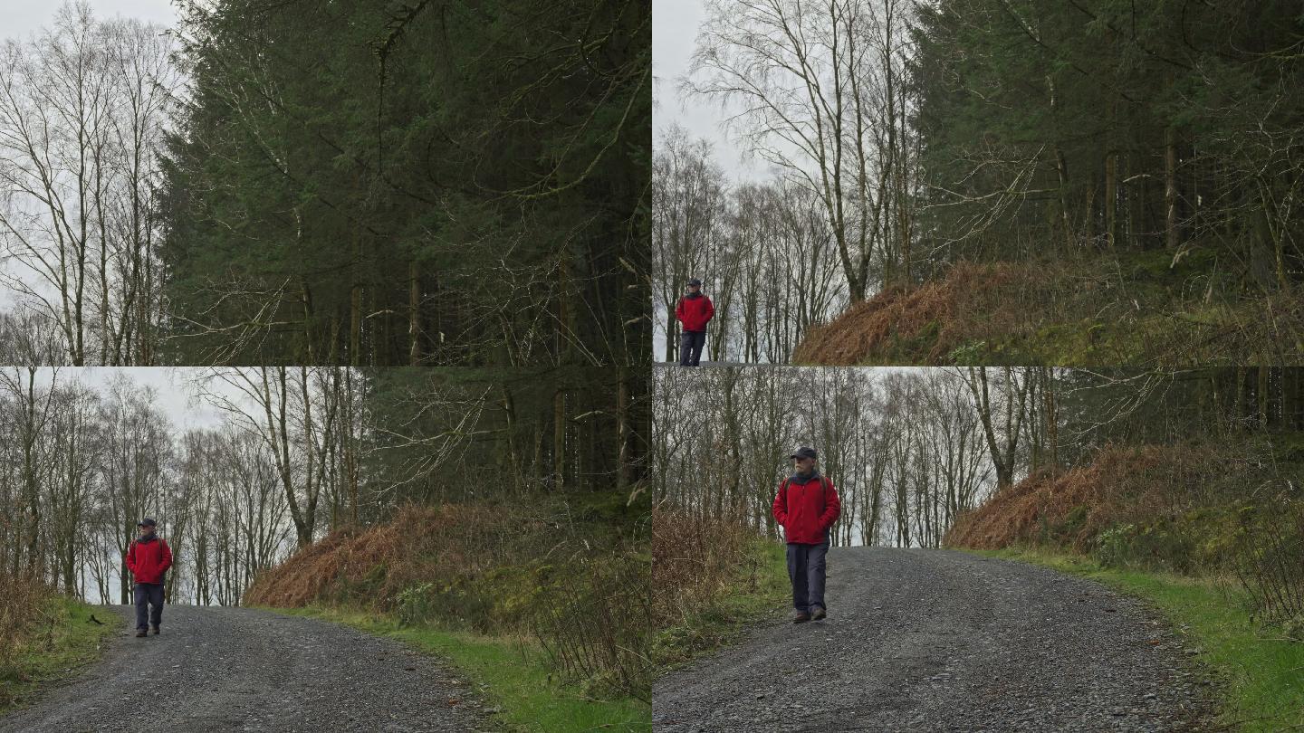 老人独自在森林里的土路上徒步旅行