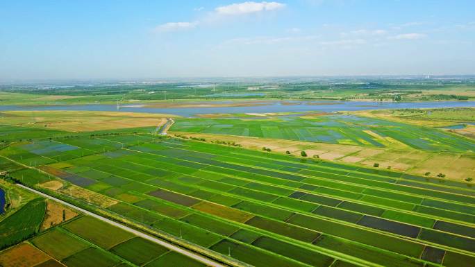 黄河灌区稻田河流-万亩良田农业大景