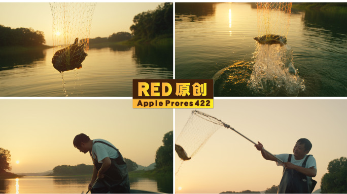 「RED拍摄」渔船捕捞野生甲鱼乌龟王八