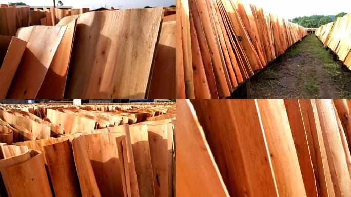 晒板材阳光晒板胶合板材木材板家具压板材料