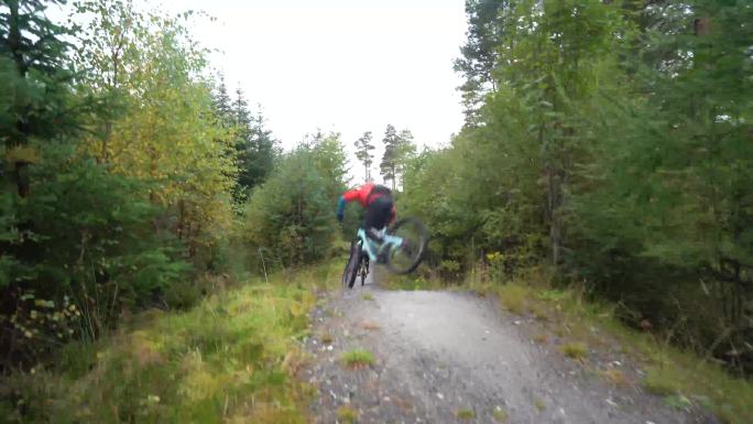 两名山地自行车骑手沿着森林自行车道快速骑行
