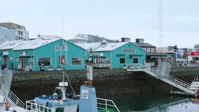 冰岛 码头 观鲸 雷克雅未克 北欧